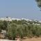 Masseria Montecchie - 切列梅萨皮卡