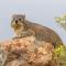 Kwetu Guest Farm
