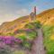 Idyllic Cornish Cottage, Superking bed, private garden dogs welcome