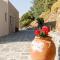 Cycladic Villa with sea view! - Julída