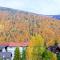 Casa Tibi - Sinaia - 锡纳亚