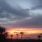 Sabal Palms Inn