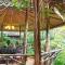 Fig Tree Hills Resort (花果山度假村)