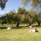 Lank-gewag Farm Cottage with private hottub - Montagu