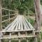 Rain Forest Inn - Ringlet