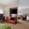 Comfort Suites Council Bluffs - Council Bluffs