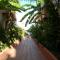 Apartamentos StarNerja II
