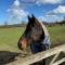 Chadwell Hill Farm