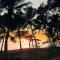 REEF RETREAT APARTMENTS PALM COVE Unit 11