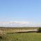 Shorefields One