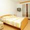 Apartment Šarenko-3 by Interhome