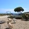 Baywatch Guest House