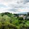 Hotel Villa Cipriani