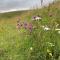 Stylish getaway in the heart of the Pewsey Vale - Pewsey