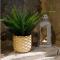 LA DOLCEVITA SPA Suite privative