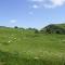 Cwmgilla Farm