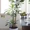 Casa Di Bava Suites by TCH