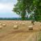 The Granary