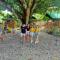 Moalboal Bamboo House / Rooms