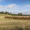 Bonjedward Mill Farm Cottage - Jedburgh