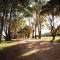 Bussells Bushland Cottages