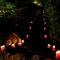 Divine Resort & Spa