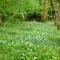 Hendre Aled Cottage 3