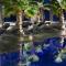 Petinos Beach Hotel