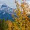 Johnston Canyon Lodge & Bungalows