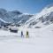 ALPINE INN Davos - Davos