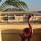 Ático Los Flamingos. Exclusive terrace with views - El Cabo de Gata