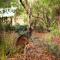 Bussells Bushland Cottages