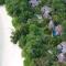 Anantara Maia Seychelles Villas - 马埃岛