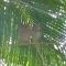 Bangalo a beira do rio em plena natureza