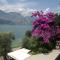Camping Denis - Brenzone sul Garda