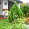 Wilpattu Lakwin Guest