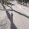 Chalet Les Sorbiers