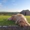 Helens Self Catering