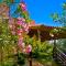Chrissas Apartments - Retimno