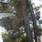 B&B Sotto i Pini