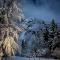 Red Beech Cabin - Lake Bohinj & Triglav National Park retreat