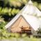 Cocoon Village - Glamping - Domaine des Grottes de Han - Rochefort