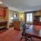 Holiday Inn Express Hotel & Suites Houston-Downtown Convention Center by IHG