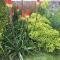 Unusual duplex with garden - 圣布里厄