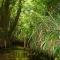 Mettez vous au vert au cœur de la Charente maritime - Saint-Germain-de-Marencennes