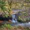 Finest Retreats - The Shepherd's Hut at Northcombe Farm - Beaworthy