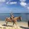 Beach Living at Island Pine Villas BLAW