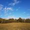 Aldo Countryside