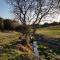 Aldo Countryside