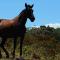 Hacienda Monteclaro - Turrialba